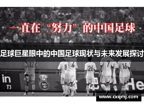 足球巨星眼中的中国足球现状与未来发展探讨