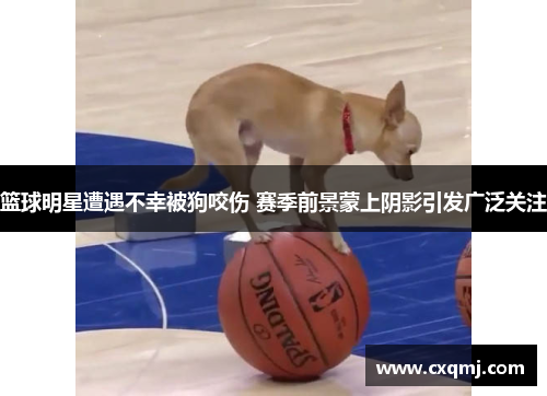 篮球明星遭遇不幸被狗咬伤 赛季前景蒙上阴影引发广泛关注
